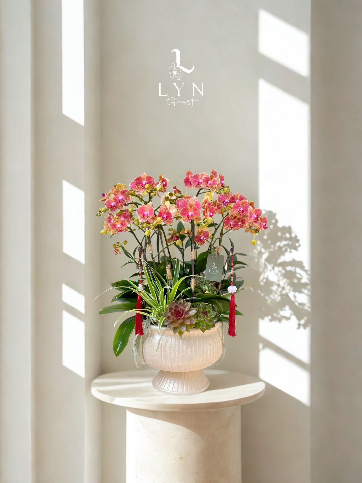 Chậu Hoa Lan Tiểu Hồ Điệp Cam